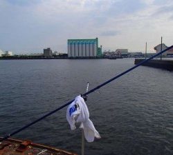 子供の日のコンビナートは人だらけ。